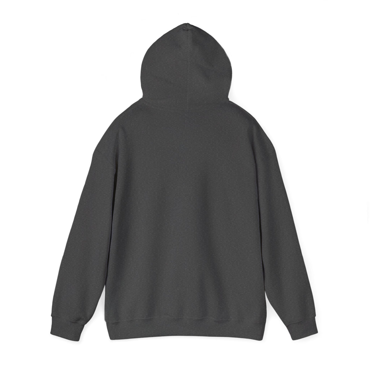 Copy This - Southern Success Hooded Sweatshirt
