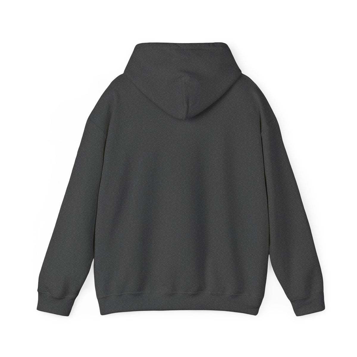 Copy This - Southern Success Hooded Sweatshirt