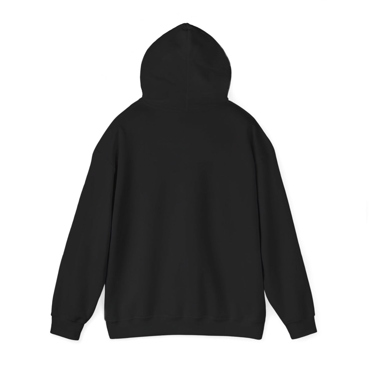 Copy This - Southern Success Hooded Sweatshirt