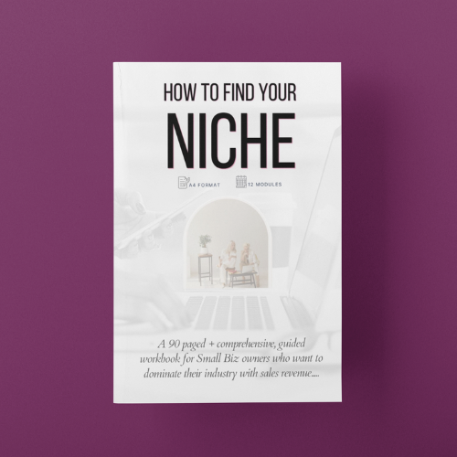 The Nichepreneur Workbook: How to start a small Business Online